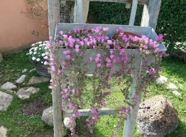 B&B Casa Piras Iun3880 Barumini Luaran gambar